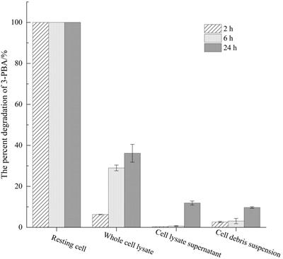 Whole-genome sequencing of Sphingobium baderi SC-1 and identification of a crucial 3-phenoxybenzoic acid-degrading gene